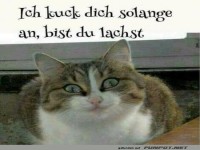 Wenn Blicke kitzeln k�nnten!