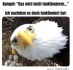 FunpotNews