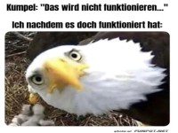 Jetzt guckst du