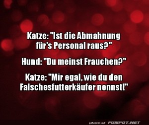 Wenn-Katze-der-Chef-ist!.jpg auf www.funpot.net