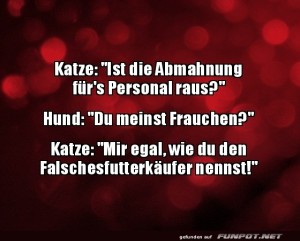 fun-Bild: Wenn Katze der Chef ist!