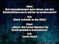Alpaka-Ideen im B�ro nicht willkommen!