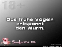 Das-fruehe-Voegeln