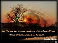 am Baum des lebens