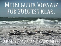 Mein guter Vorsatz 2016