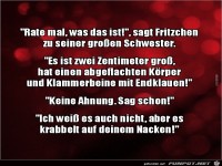 rate mal was das ist,........