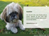 Spr�che - Hundeliebe