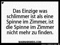 Spinne