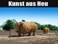 Kunst aus Heu