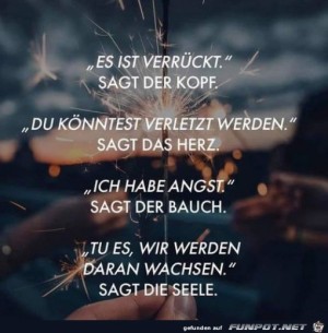 Tu-es.jpg auf www.funpot.net