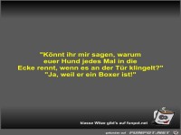 K�nnt ihr mir sagen, warum euer Hund jedes Mal in die Ecke