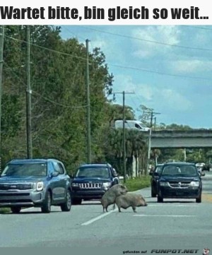 Bin-gleich-fertig.jpg auf www.funpot.net