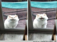 Da ist jemand grimmig