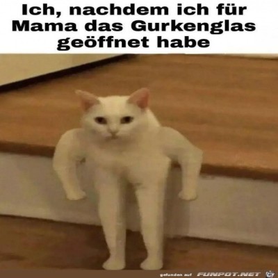 Kraftpaket.jpg von Pina
