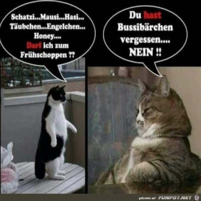 Die-Chefin-sagt-nein.jpg von Leya