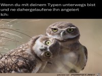 Mein Blick