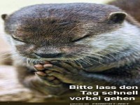 Lass den Tag schnell vergehen