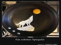 Ein sch�nes Spiegelei