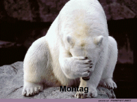 Eisb�r mit Monday Blues