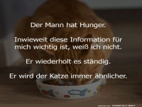 Der Mann und die Katze: Humor im Alltag