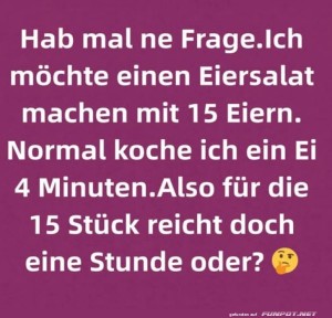fun-Bild: Lustige Frage zum Eierkochen