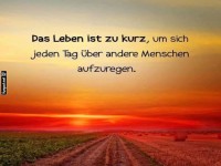Das Leben ist zu kurz fr rger