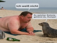 Seltsame Strandbekanntschaften in der Sonnenhitze