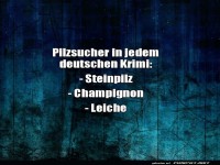 Pilzsuche mit unerwartetem Fund!