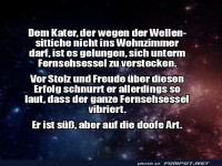 Der unsichtbare, aber laute Kater