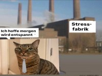 Der t�gliche Kampf im B�ro-Dschungel