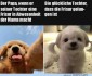 FunpotNews