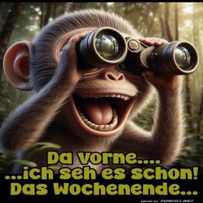 Affenblick-auf-das-Wochenende!.jpg von Leif