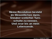 Turnschuh-Revolution bis zum Schluss