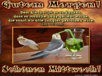 Vögel und der verrückte Cocktail-Mittwoch