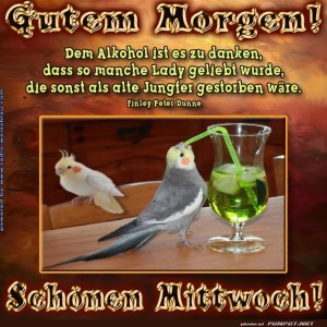 Vögel-und-der-verrückte-Cocktail-Mittwoch.jpg von Justin