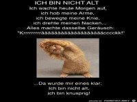ich-bin-nicht