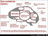 Das weibliche Gehirn