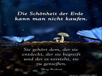 die Schoenheit der erde