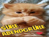 Guten Abend Grüße