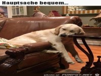 Hauptsache bequem