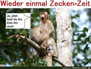 wieder-einmal-Zecken-Zeit.jpg auf www.funpot.net