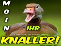 Moin ihr Knaller