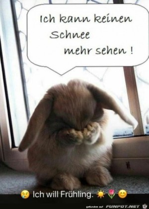 Ich-will-Fr�hling.jpg auf www.funpot.net