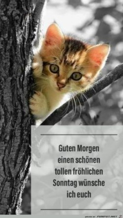 Guten-Morgen.jpg auf www.funpot.net