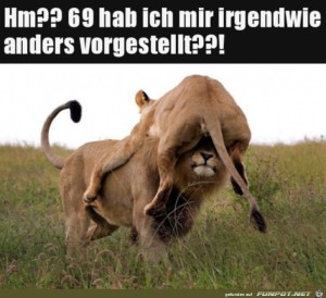 Hat-er-sich-anders-vorgestellt.jpg auf www.funpot.net