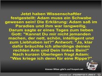 Jetzt haben Wissenschaftler festgestellt