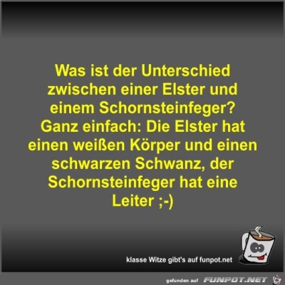 Was-ist-der-Unterschied-zwischen-einer-Elster-und-einem....jpg von Fossy