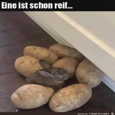 Eine-ist-reif.jpg von Supersusi