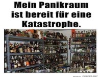 der Panikraum
