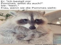 Ein Waschb�r und die Pommes-Frage